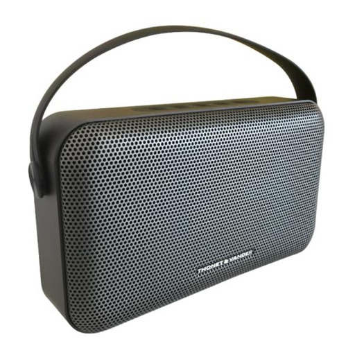 [1204263] PARLANTE THONET & VANDER ZIEGEL 30W BLUETOOTH HK096-03652 GRIS